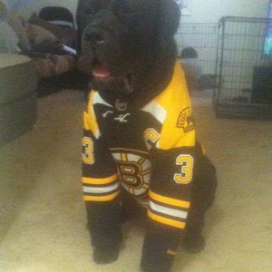 Meet your Posher, Erik